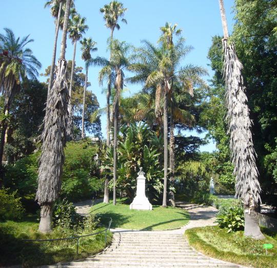 Jardin Botanique De Lisbonne 4