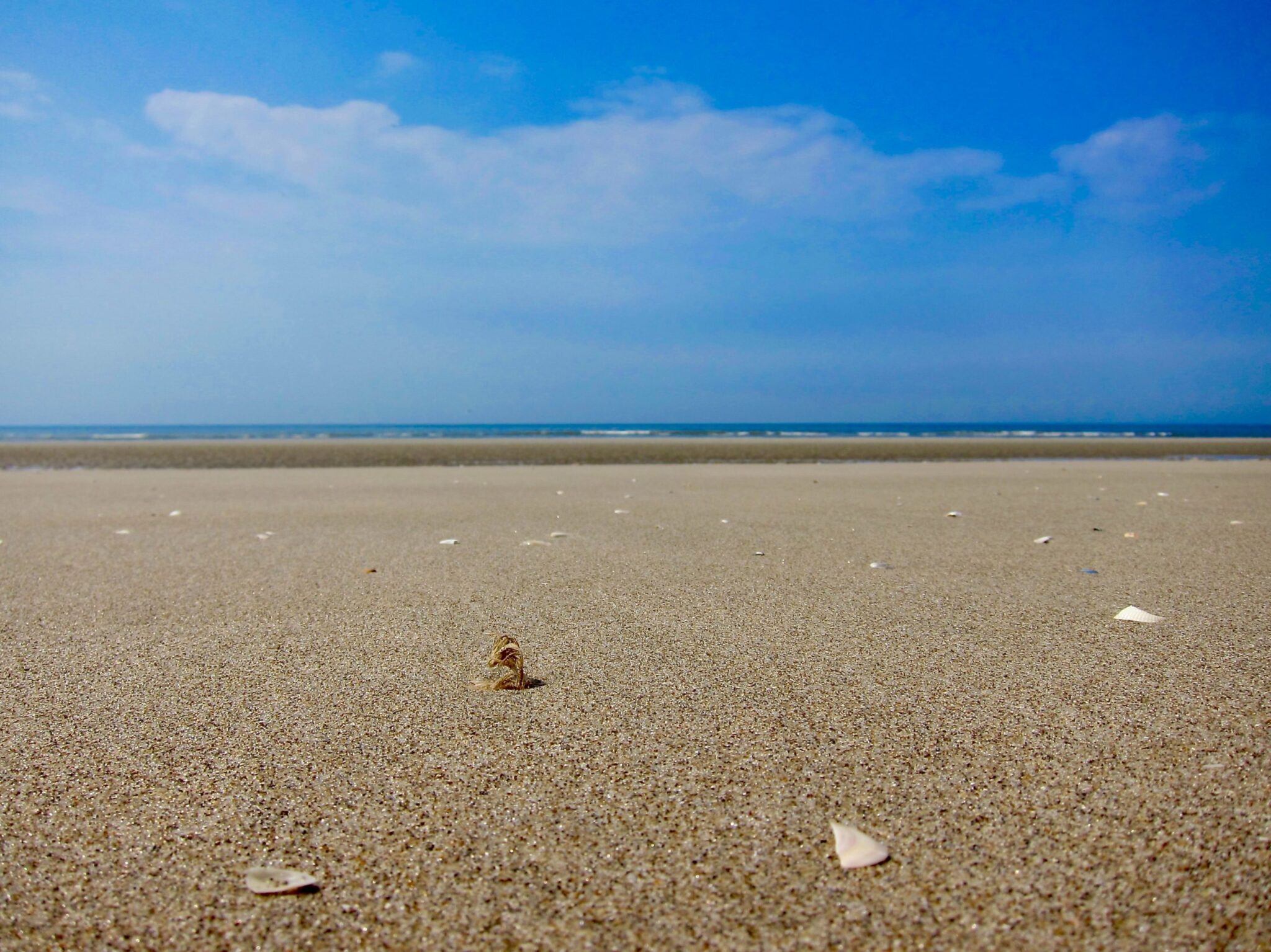 le touquet france