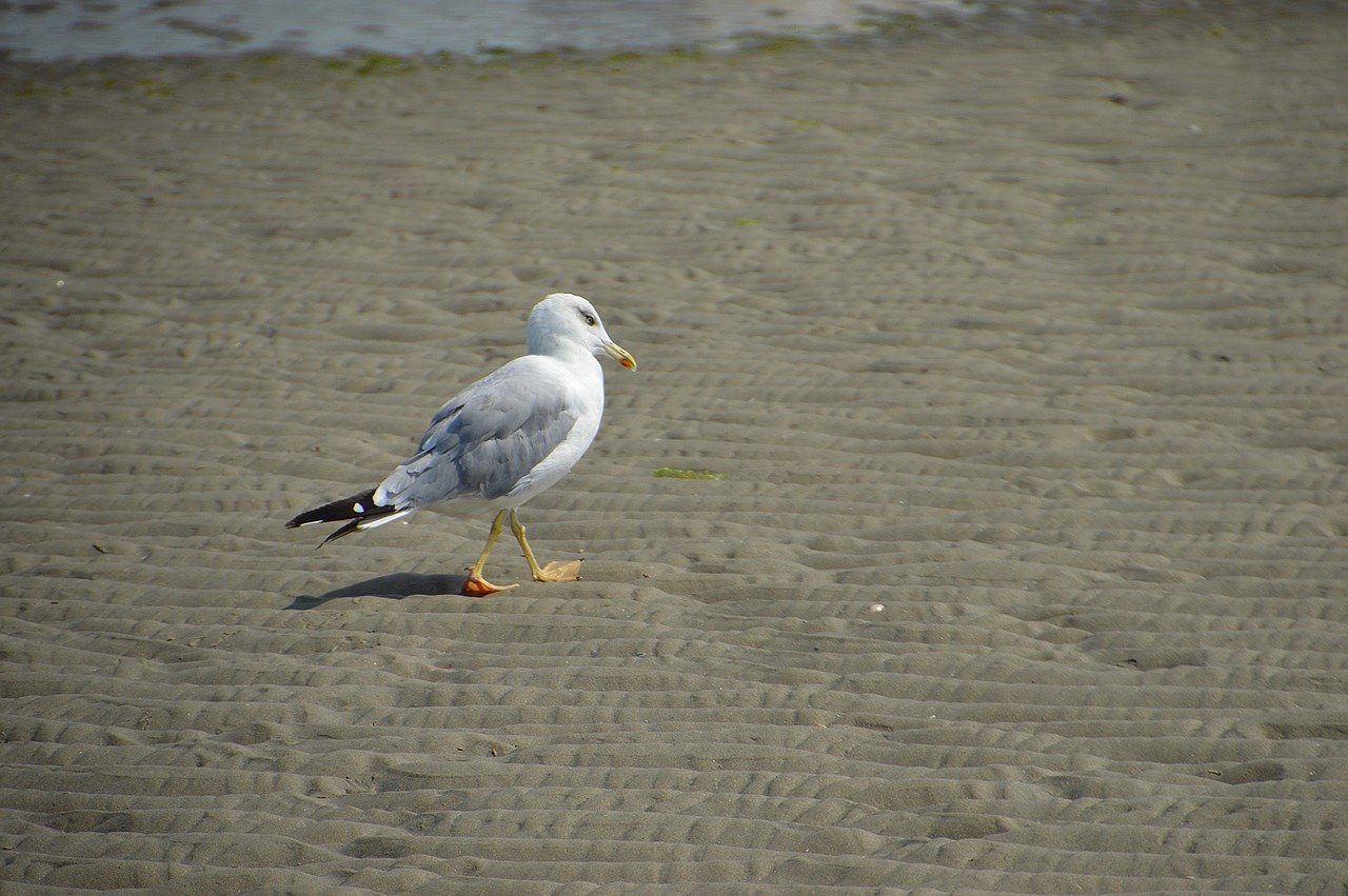 le touquet france