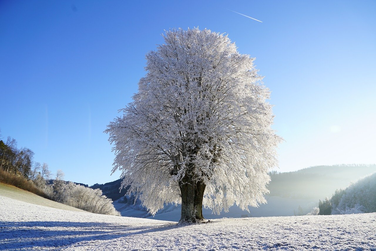 ski france