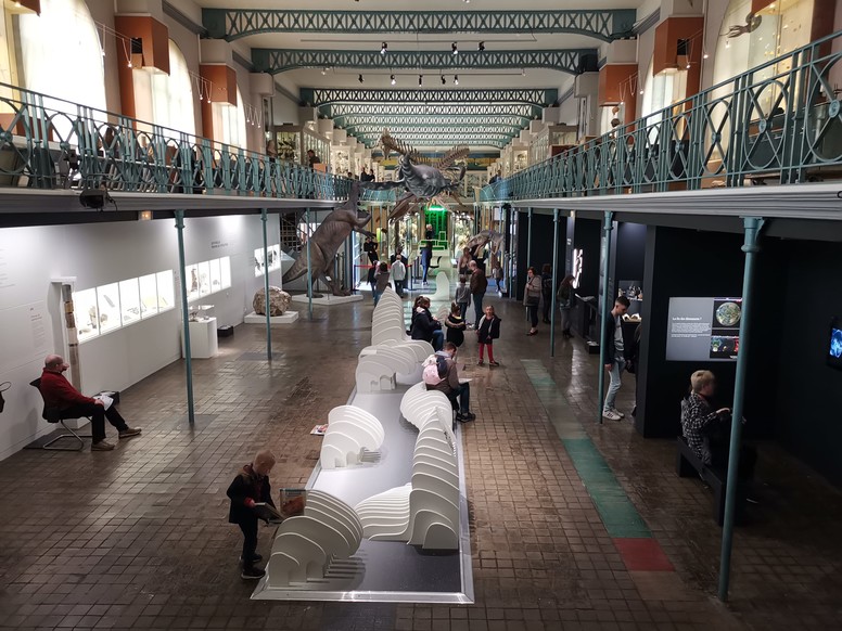 musee d histoire naturelle lille