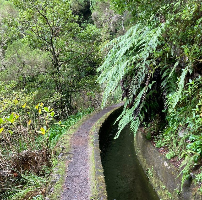 la levada