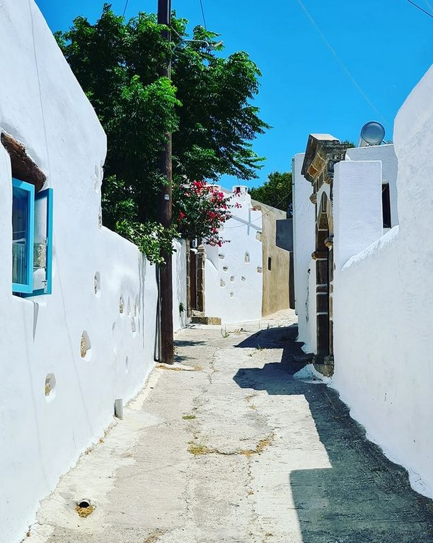 lachania